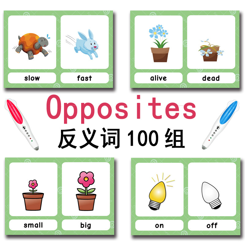 The 100 Groups Opposites Flash - đánh giá và giá Kids Education Age