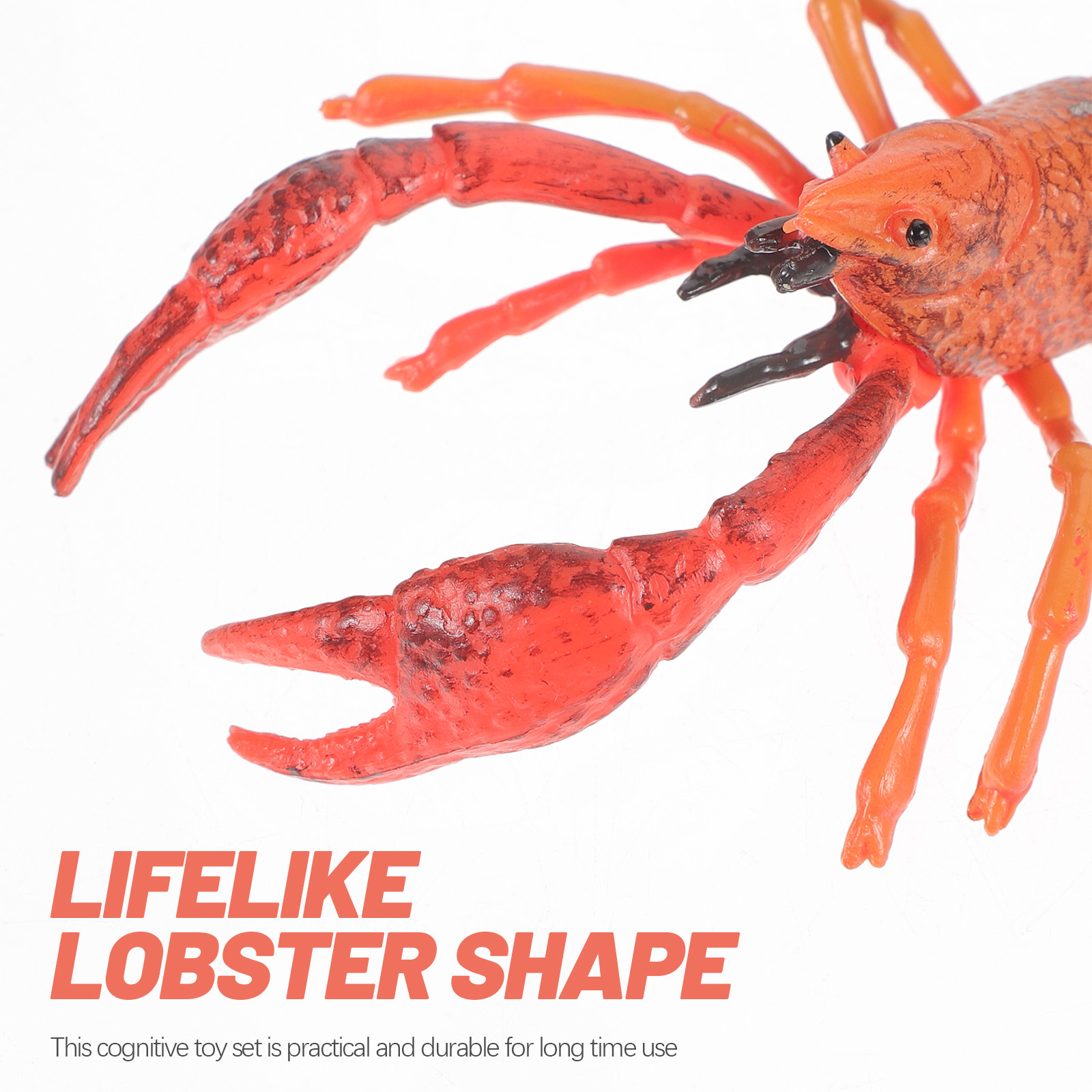 1Set Animal Cognitive Lobster  - đánh giá và giá Kids Education Help
