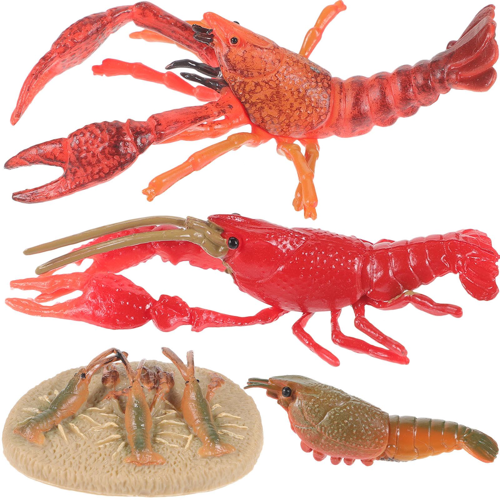 1Set Animal Cognitive Lobster  - đánh giá và giá Kids Education Help