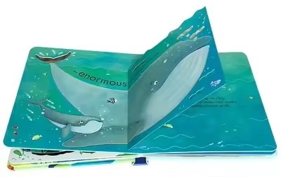 Usborne Peep Inside The Sea Ed - đánh giá và giá Kids Nature Education