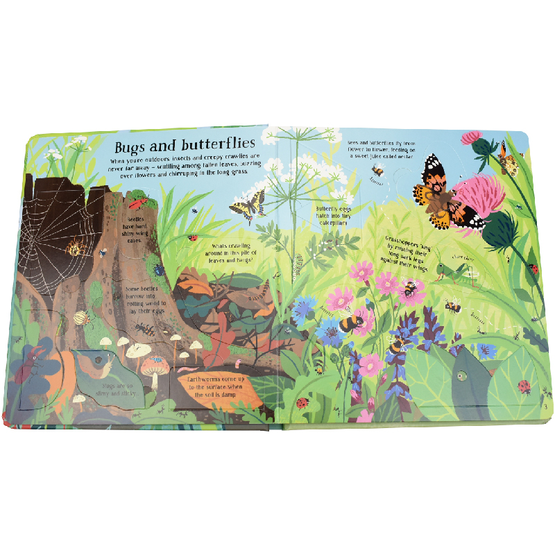 English Montessori 3D Usborne  - đánh giá và giá Kids Nature Education