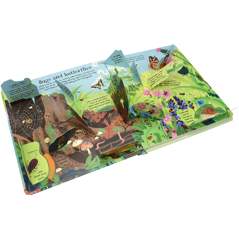 English Montessori 3D Usborne  - đánh giá và giá Kids Nature Education