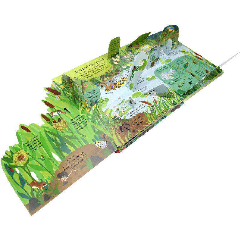 English Montessori 3D Usborne  - đánh giá và giá Kids Nature Education